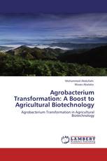 Agrobacterium Transformation: A Boost to Agricultural Biotechnology