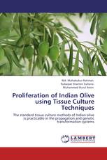 Proliferation of Indian Olive using Tissue Culture Techniques