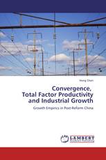 Convergence,   Total Factor Productivity  and Industrial Growth
