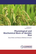 Physiological and Biochemical Basis of Aerobic Rice