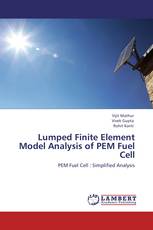 Lumped Finite Element Model Analysis of PEM Fuel Cell