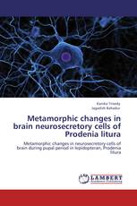 Metamorphic changes in brain neurosecretory cells of Prodenia litura