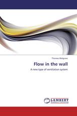 Flow in the wall