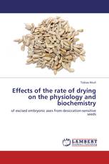 Effects of the rate of drying on the physiology and biochemistry