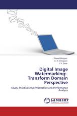 Digital Image Watermarking:   Transform Domain Perspective