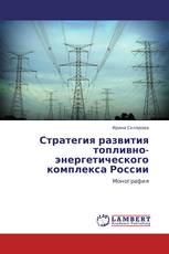 Стратегия развития топливно-энергетического комплекса России