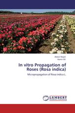 In vitro Propagation of Roses (Rosa indica)