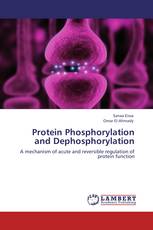 Protein Phosphorylation and Dephosphorylation