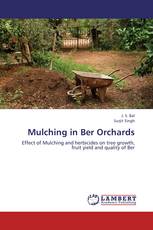 Mulching in Ber Orchards