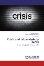 Credit and risk analysis by banks