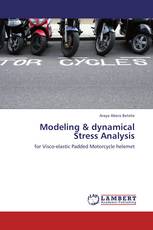 Modeling & dynamical Stress Analysis