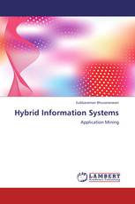 Hybrid Information Systems