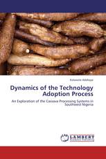 Dynamics of the Technology Adoption Process