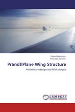 PrandtlPlane Wing Structure