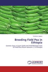 Breeding Field Pea in Ethiopia