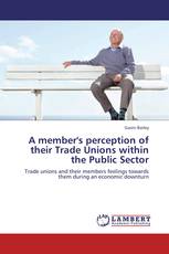 A member's perception of their Trade Unions within the Public Sector