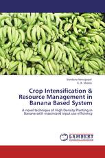 Crop Intensification &  Resource Management in Banana Based  System