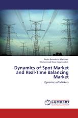 Dynamics of Spot Market and Real-Time Balancing Market