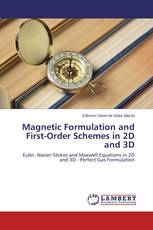 Magnetic Formulation and First-Order Schemes in 2D and 3D