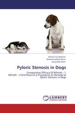 Pyloric Stenosis in Dogs