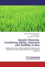 Genetic Diversity, Combining Ability, Heterosis and Stability in Rice