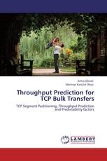 Throughput Prediction for TCP Bulk Transfers