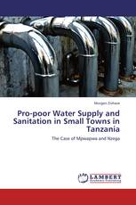 Pro-poor Water Supply and Sanitation in Small Towns in Tanzania