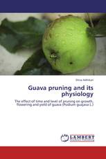 Guava pruning and its physiology