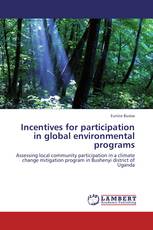 Incentives for participation in global environmental programs
