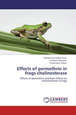 Effects of permethrin in frogs cholinesterase