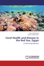 Coral Health and Disease in the Red Sea, Egypt