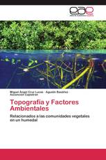 Topografía y Factores Ambientales