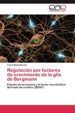 Regulación por factores de crecimiento de la glia de Bergmann