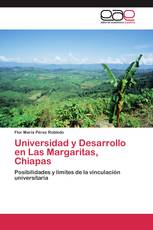 Universidad y Desarrollo en Las Margaritas, Chiapas