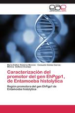 Caracterización del promotor del gen EhPgp1, de Entamoeba histolytica