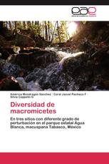 Diversidad de macromicetes