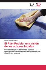 El Plan Puebla: una visión de los actores locales