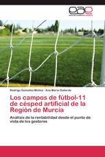 Los campos de fútbol-11 de césped artificial de la Región de Murcia