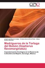 Madrigueras de la Tortuga del Bolsón (Gopherus flavomarginatus)