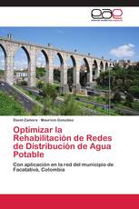 Optimizar la Rehabilitación de Redes de Distribución de Agua Potable