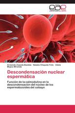 Descondensación nuclear espermática