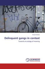 Delinquent gangs in context