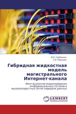 Гибридная жидкостная модель магистрального Интернет-канала