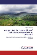 Factors For Sustainability of Civil Society Networks in Tanzania