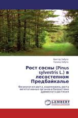 Рост сосны (Pinus sylvestris L.) в лесостепном Предбайкалье