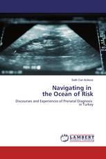 Navigating in the Ocean of Risk