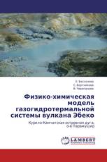 Физико-химическая модель газогидротермальной системы вулкана Эбеко