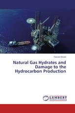 Natural Gas Hydrates and Damage to the Hydrocarbon Production