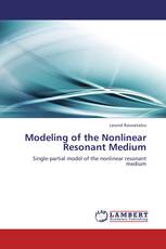 Modeling of the Nonlinear Resonant Medium