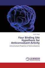 Four Binding Site Hypothesis for Anticonvulsant Activity